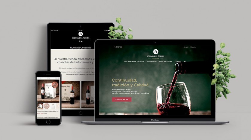Diseño web Casa Del Aguila