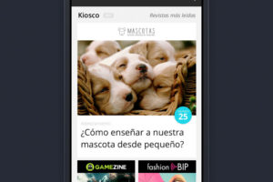 PlayKiosk desarrollo de APP