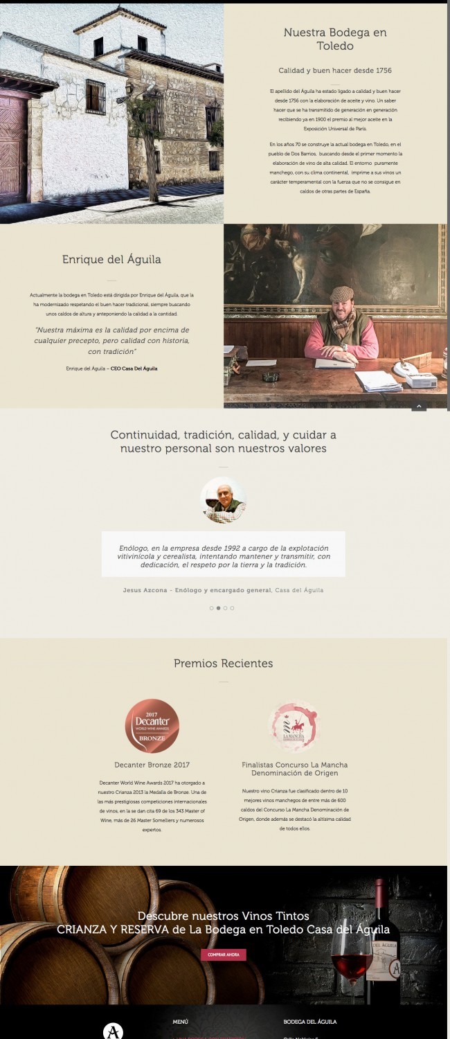 Diseño Web Bodega Del Aguila