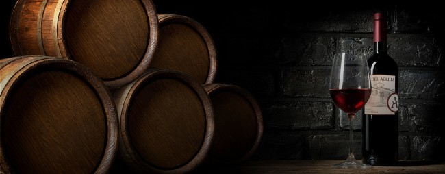 Diseño Web Bodega del Águila