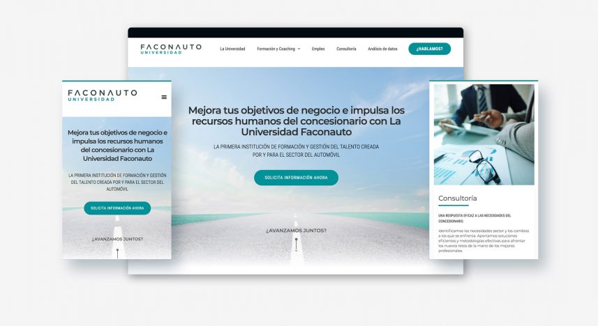 Universidad faconauto